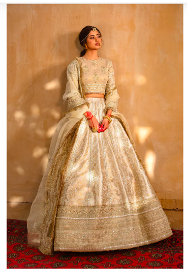 Picture of Bridal Lehenga