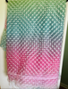 Picture of New Multicolor pastel net  Korean materia ruffle saree with 2 brand new blouses