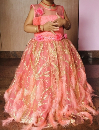 Picture of Party wear Feather Frock 2-3y