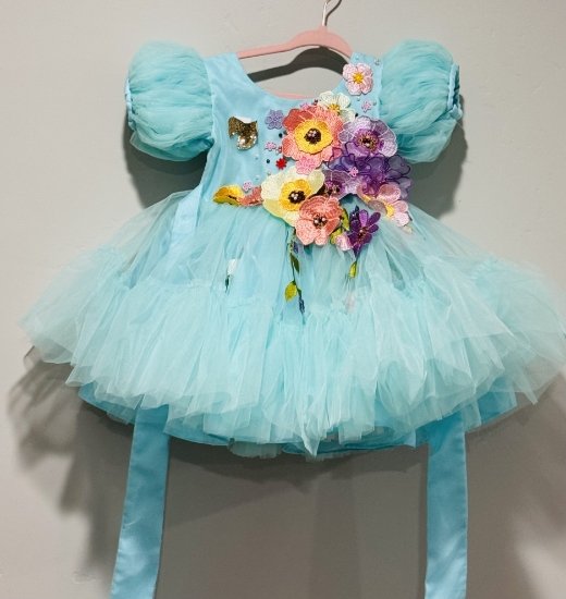 Picture of Li & Li applique work designer dress 1-2y