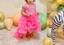Picture of Pink layered tail gown 6-12M