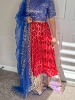 Picture of Red and blue soft benaras lehenga
