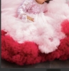 Picture of Designer 3D Ruffle Gown 3-5yr