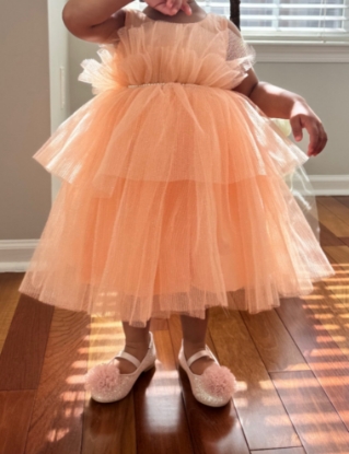 Picture of Peach shimmer partywear frock 1-2y