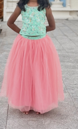 Picture of Full hand work Crop top with flared skirt 4-5y