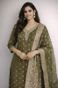 Picture of Olive green Banarasi kurti set