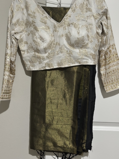 Picture of Tissue saree with embroidered blouse