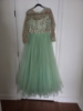 Picture of Taruni Pastel Green Long gown