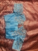 Picture of All over Meenakari Handloom kanchi pattu saree with hand painted blouse 