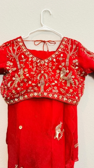 Picture of PL748 New Red space silk saree with all over work blouse 