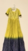 Picture of Parrot green and navy blue gown