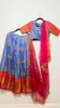 Picture of PL736 Mangalgiri tissue pattu lehenga with digital print allover and rich border.