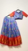 Picture of PL736 Mangalgiri tissue pattu lehenga with digital print allover and rich border.