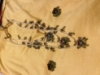 Picture of New Kundhan 3 layer pearl chain rani haram set 