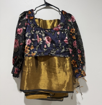 Picture of Tissue mul chanderi saree with braso blouse 